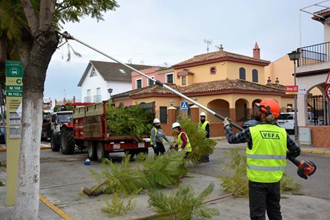 Obras_Conservación Zonas Verdes 1