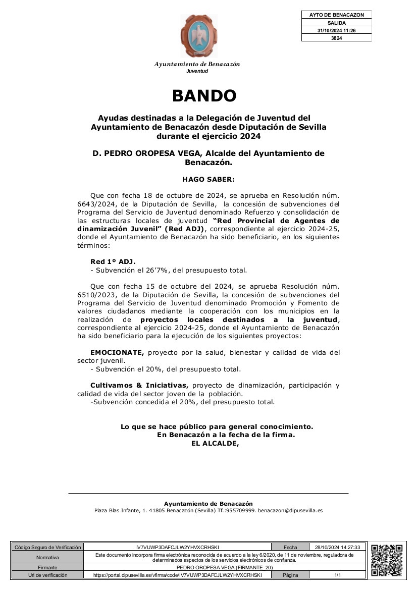 Bando_ADJ_y_P_Locales (1)