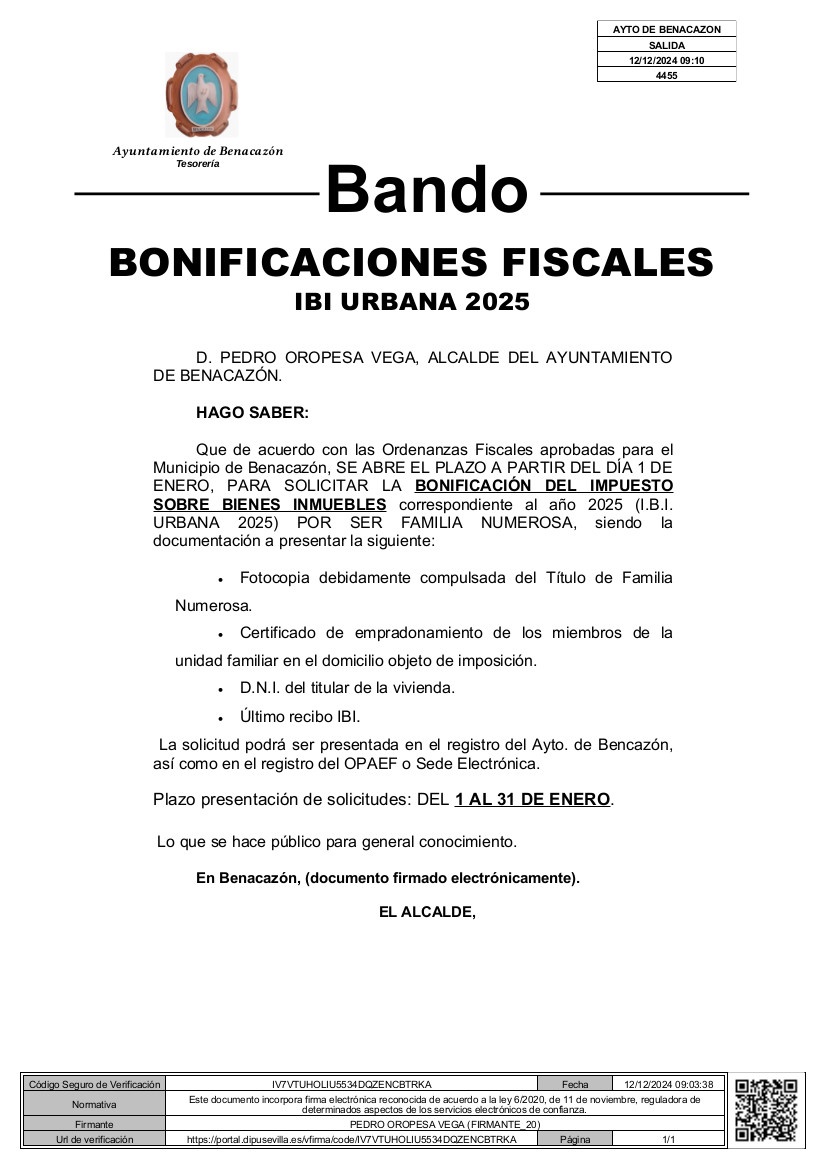 Bando_IBI_Familia_Numerosa_2025 (1)