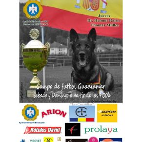 Cartel Campeonato perros Ayto. Benacazón