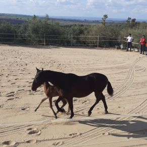 IMG-20220314-WA0059 ok