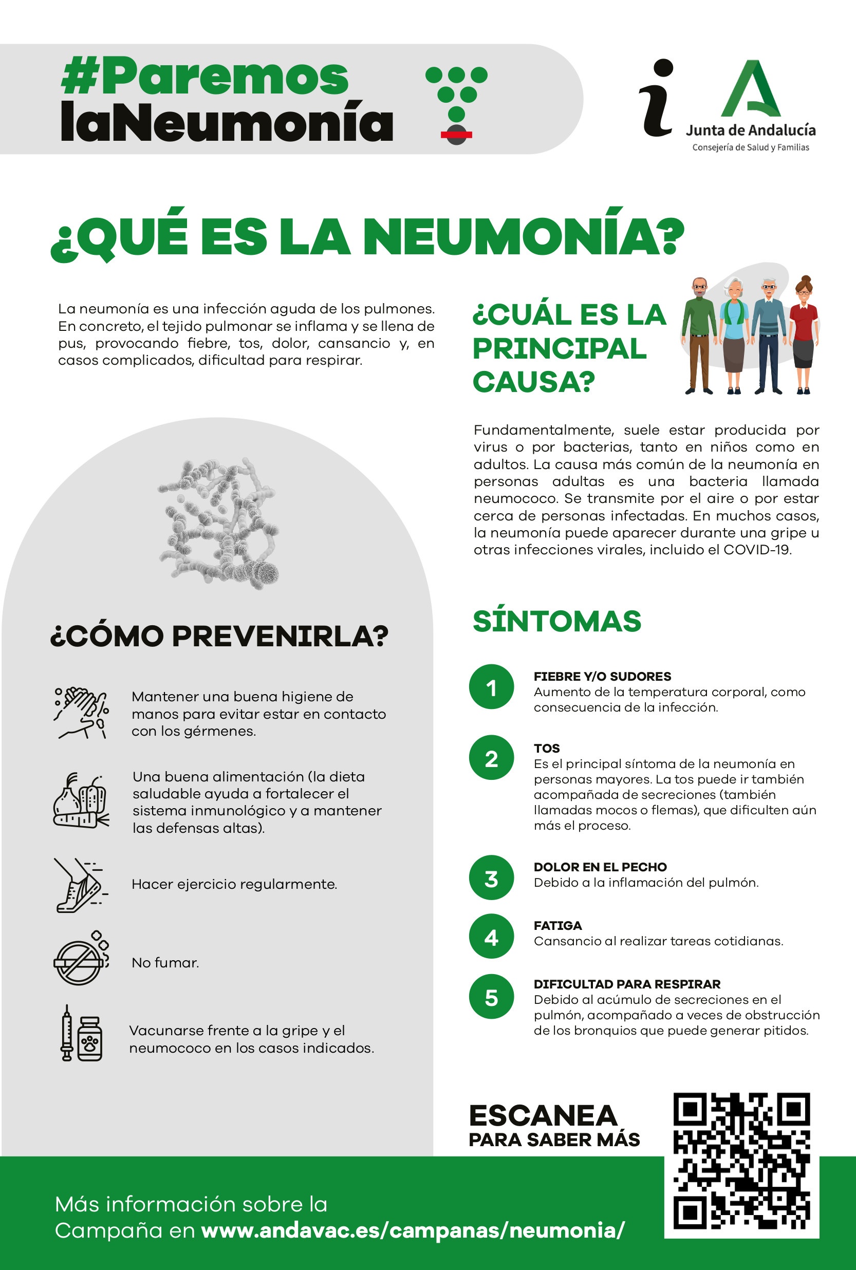 Infografi¿a-Neumoni¿a-Neumococo_final_prot