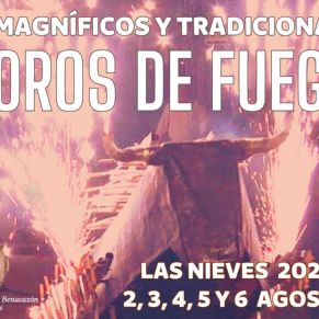 TOROS DE FUEGO 2024